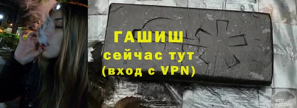 стафф Алзамай