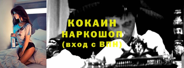 шишки Горнозаводск