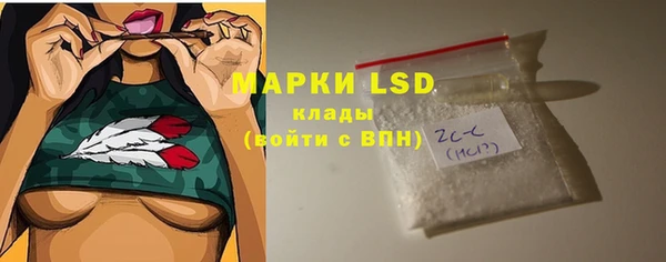 стафф Алзамай
