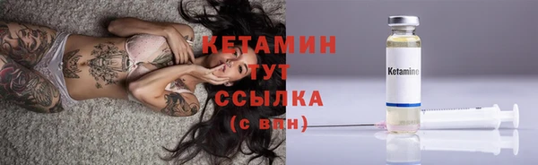 стафф Алзамай