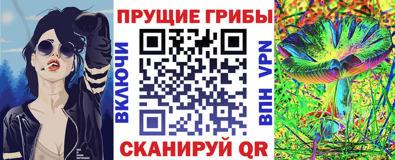ОМГ ОМГ вход  Суджа  Галлюциногенные грибы мухоморы 